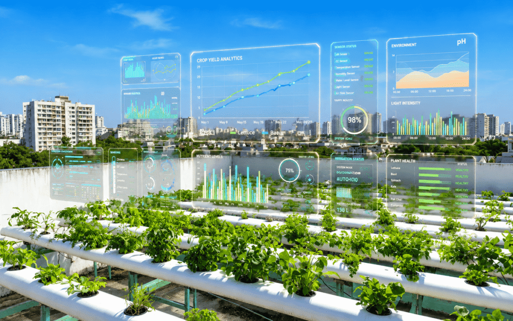 Rooftop Hydroponics